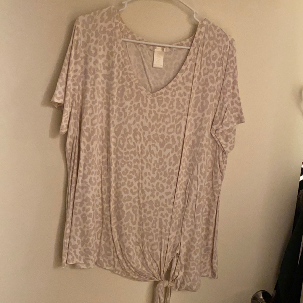 Women’s V-Neck Cheetah Print T Shirt. Size Xxl. New Without Tags, Only Tried On.
